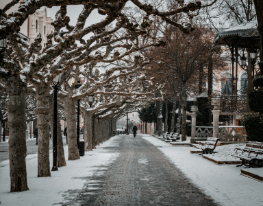 Winterlandschaft